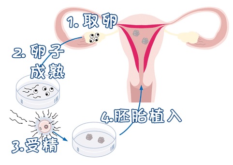 靠谱代怀服务联系电话